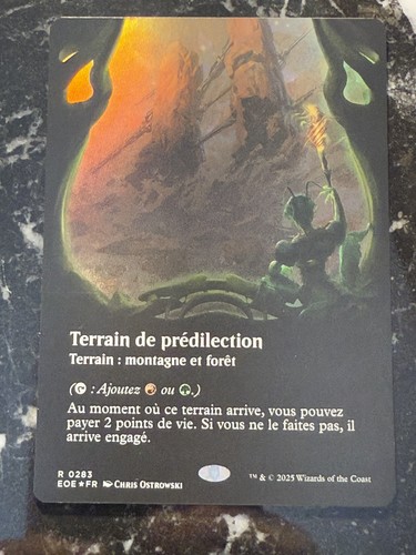 Mtg eoe poster - viewport, land